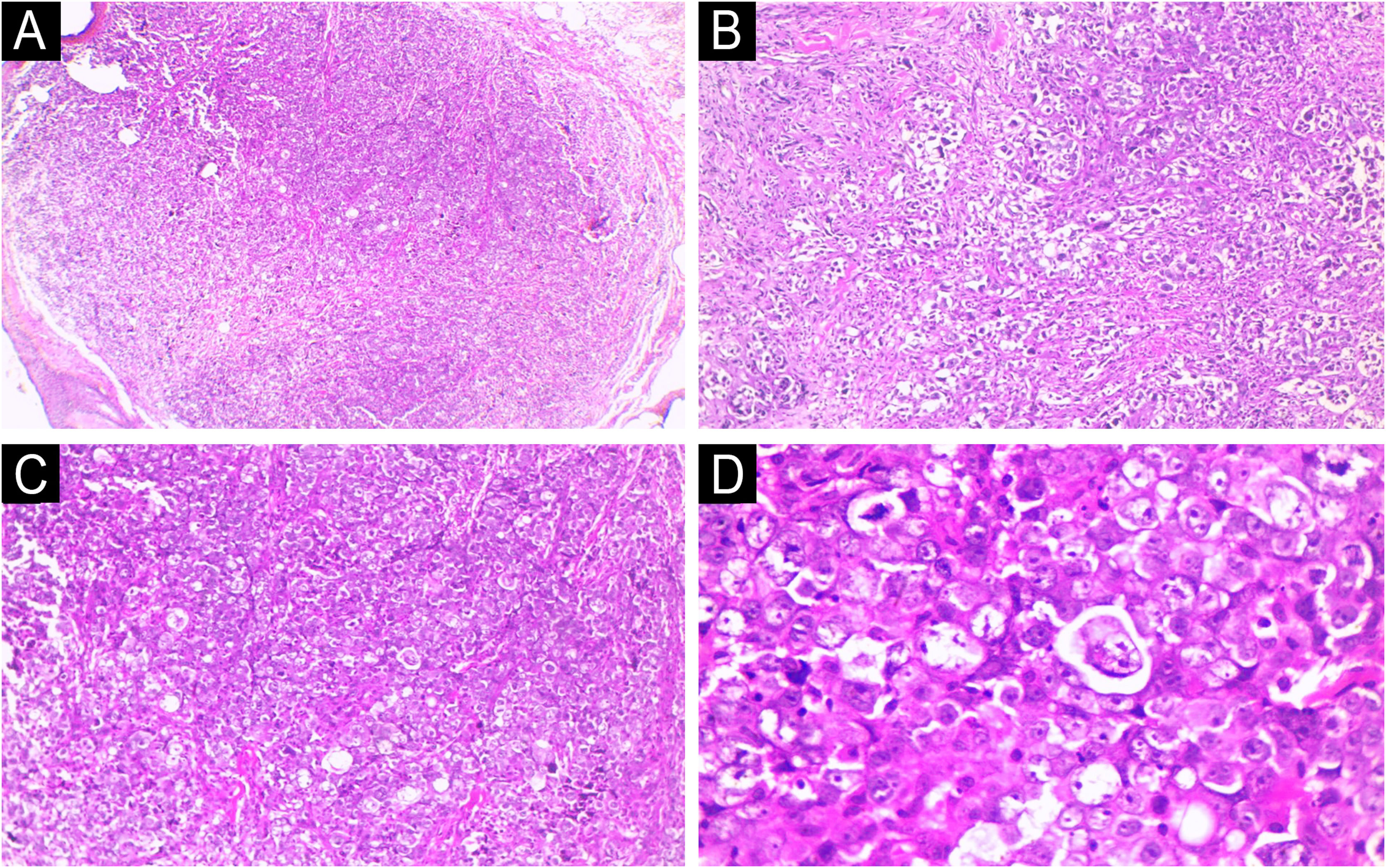 fig0010
