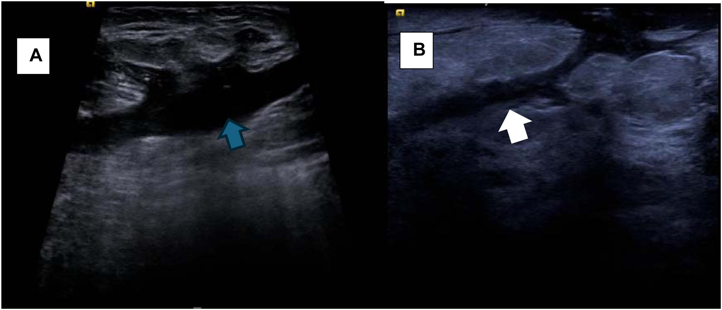 fig0020