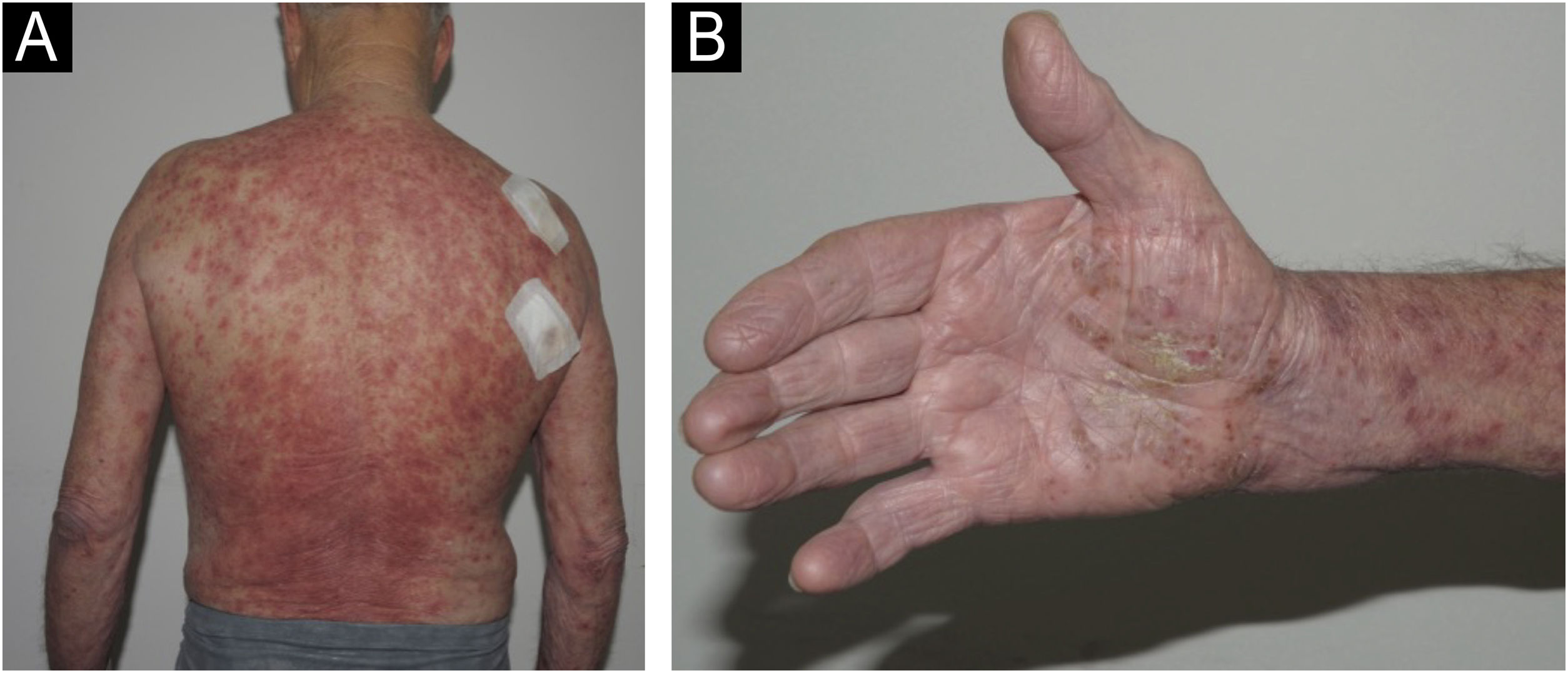 fig0005
