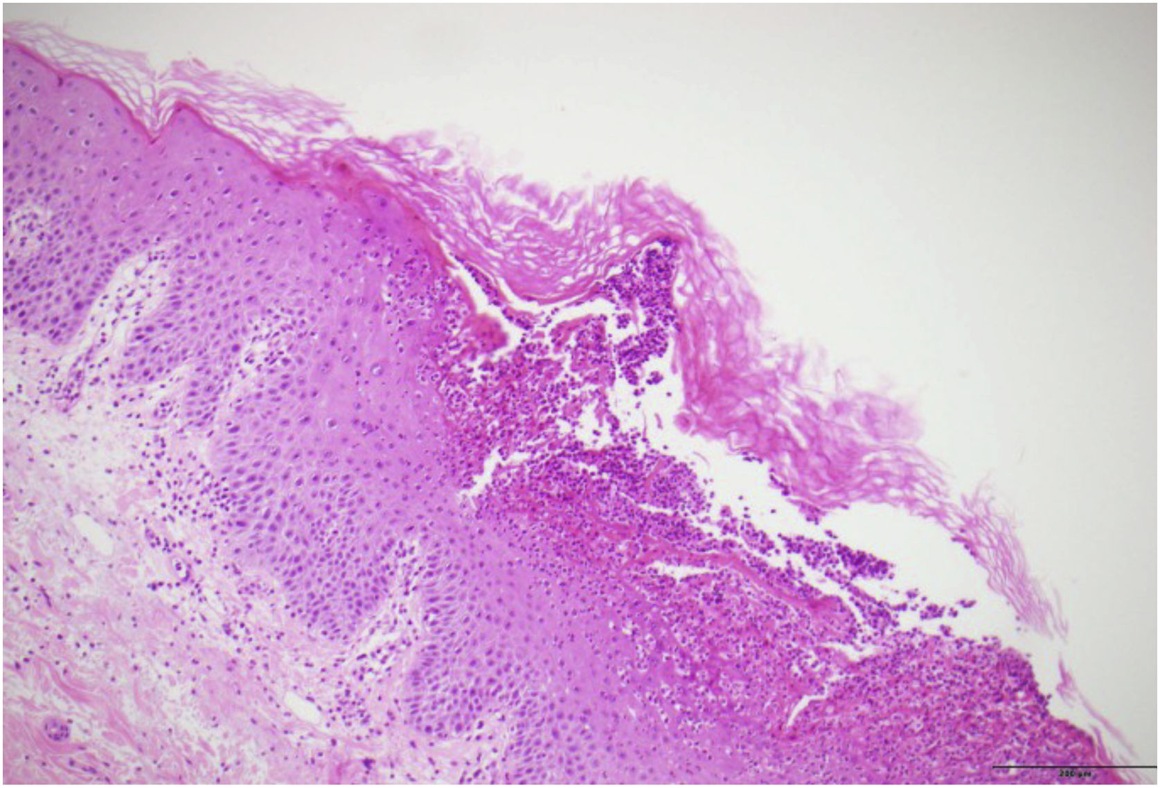 fig0010