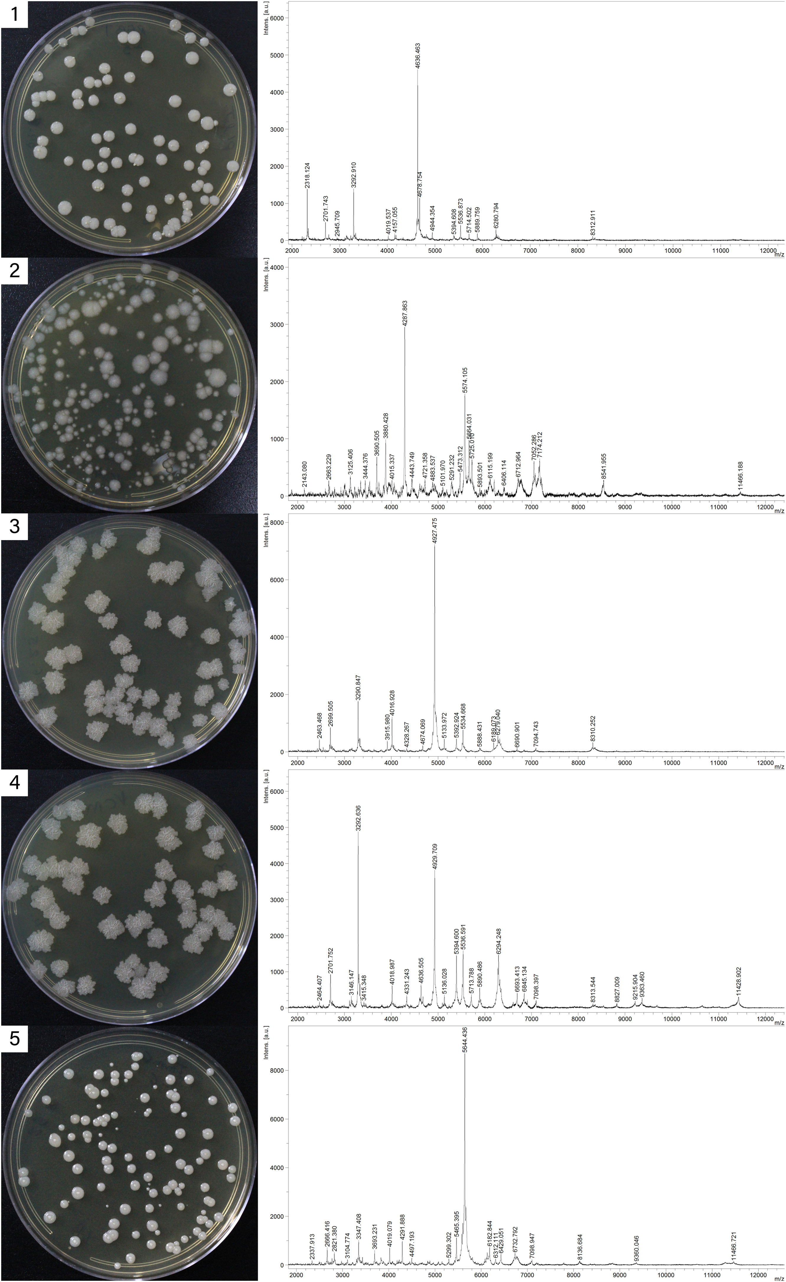 fig0010