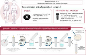 Comparative analysis of decontamination and culture methods for the isolation of Nontuberculous Mycobacteria (NTM) from skin biopsies. The upper panel illustrates the conventional methods used for comparison: Petroff (NaOH 4% on Löwenstein-Jensen) and NALC-NaOH (on MGIT). The lower panel details the proposed optimized protocol using CPC 0.1%, including the fragmentation of the biopsy, incubation for 30 minutes, sequential washing with PBS, before final inoculation into 7H10 agar and 7H9 broth supplemented with OADC and PANTA.