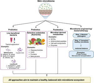 Therapeutic strategies for skin microbiome modulation. Overview of interventions, including probiotics (live bacteria), prebiotics (selective substrates), postbiotics (microbial metabolites), and microbiome engineering (bacteriotherapy and transplantation), aimed at restoring a balanced cutaneous ecosystem. Created in https://BioRender.com.