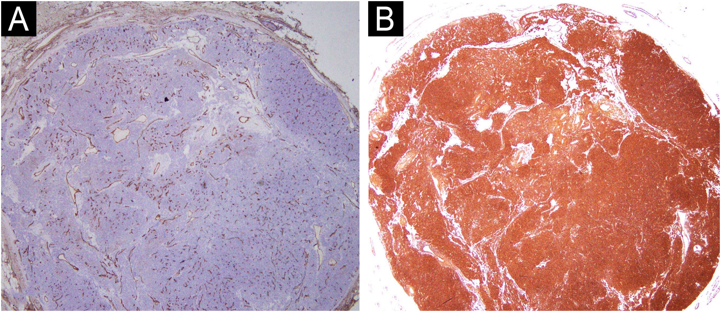 fig0015
