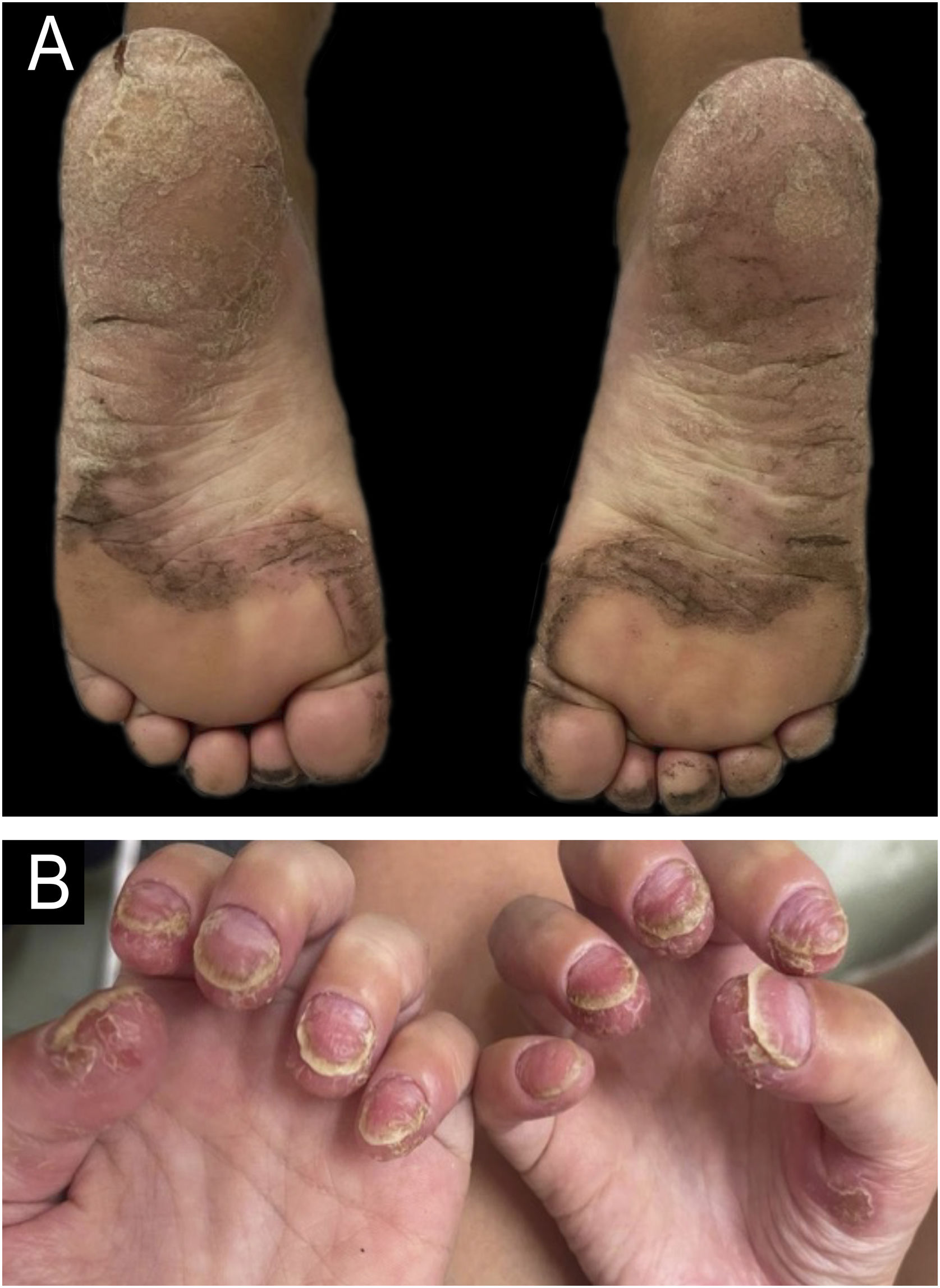 fig0015