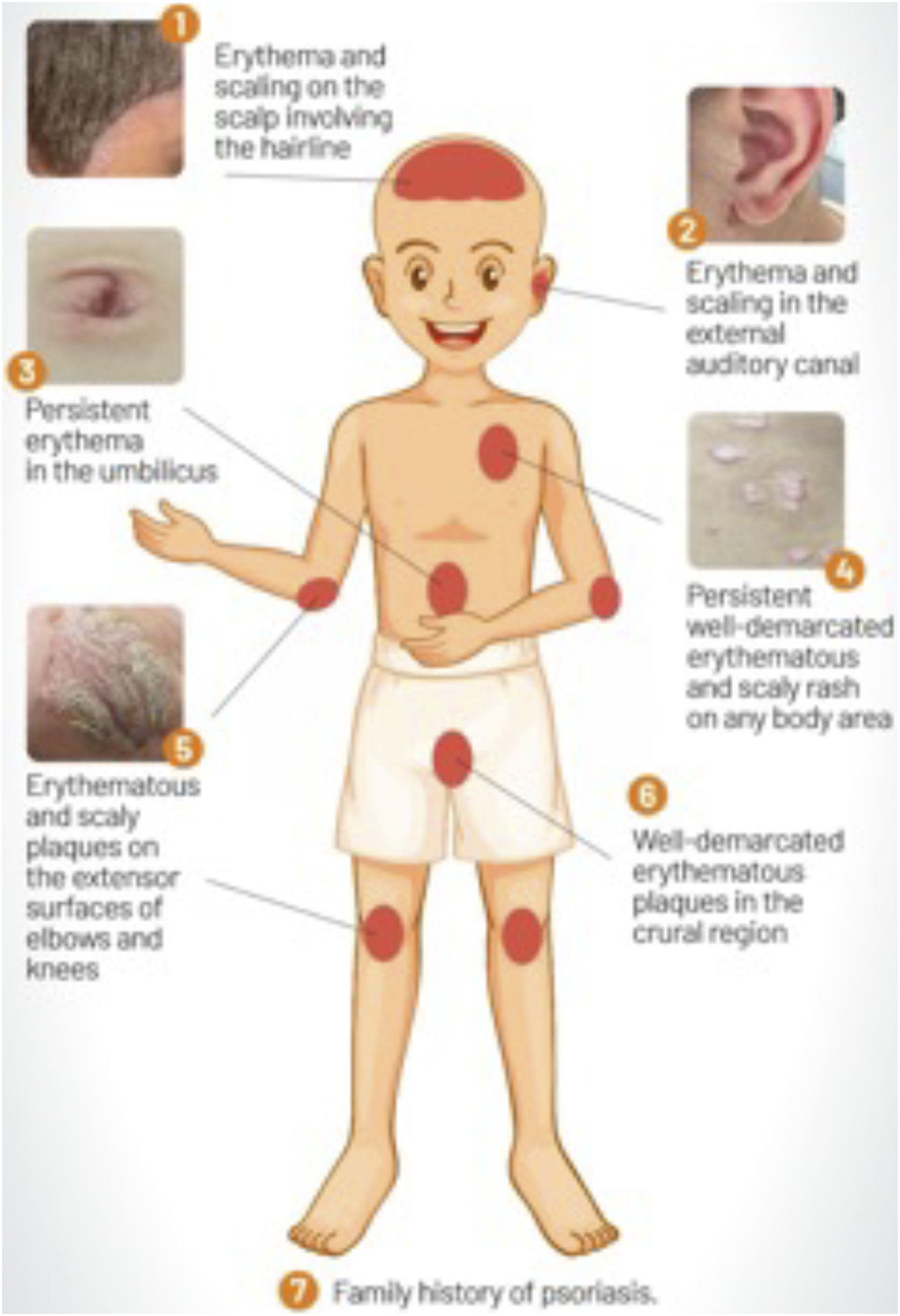 fig0020