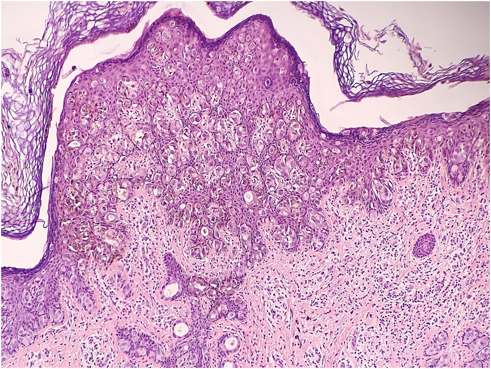 fig0015