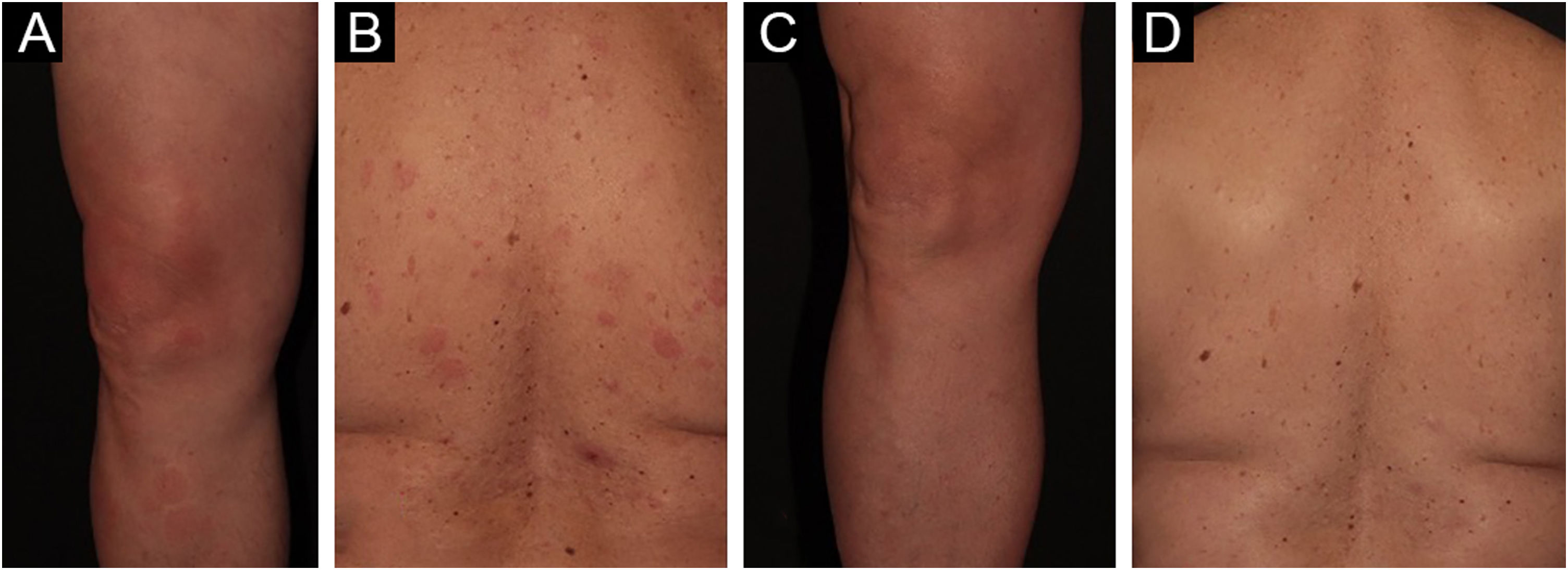 fig0005