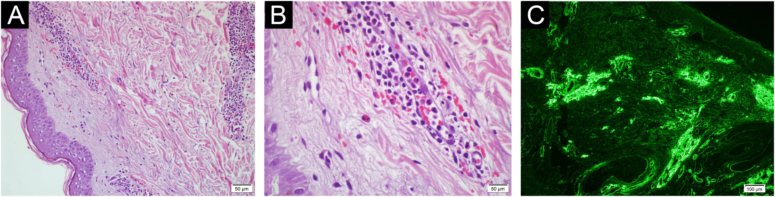 fig0010