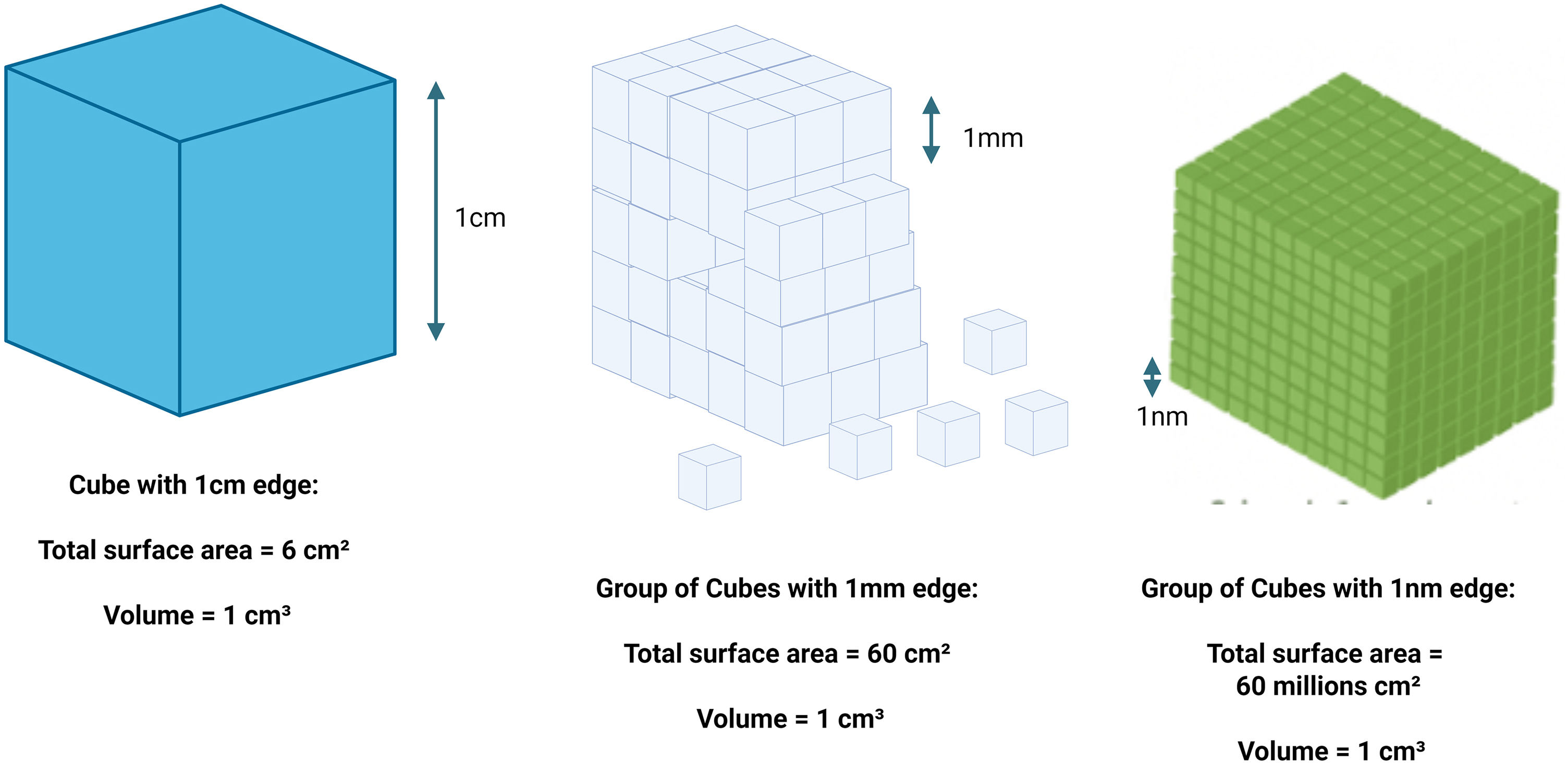 fig0015