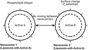 Schematic representation of liposomal nanocarriers enabling multi-active encapsulation in a single topical formulation.