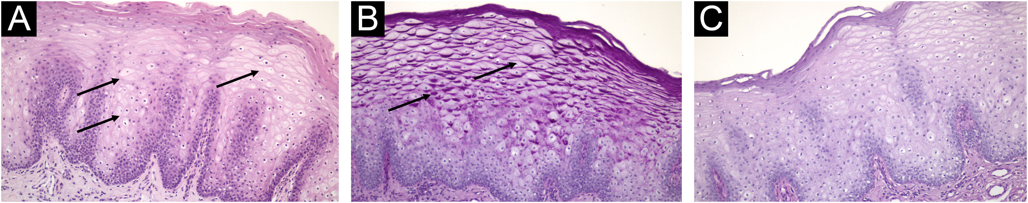 fig0010