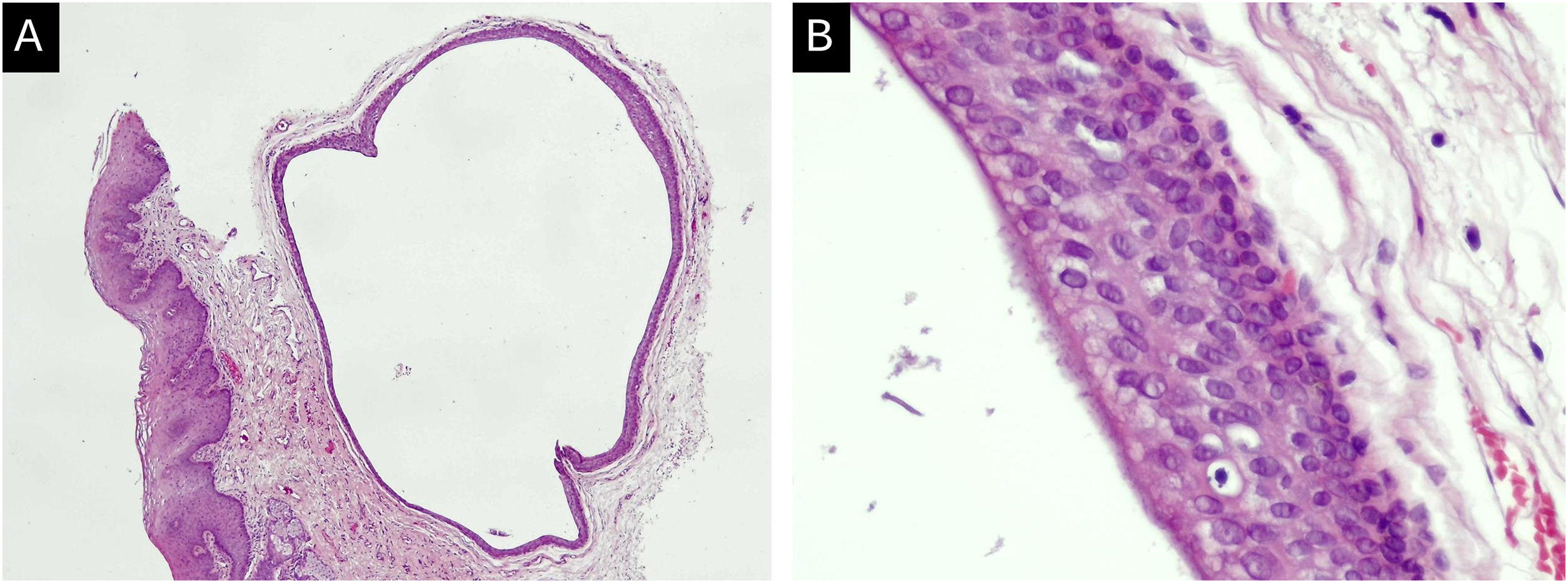 fig0010