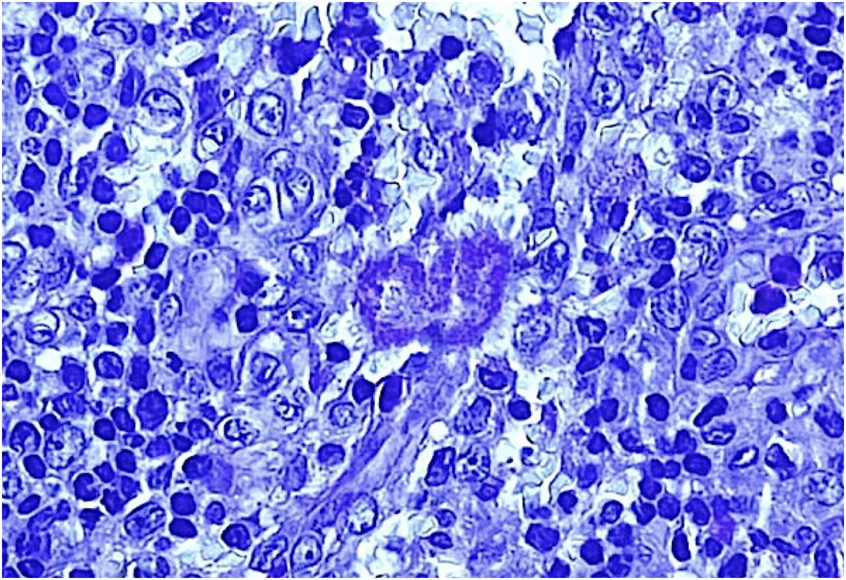 fig0010