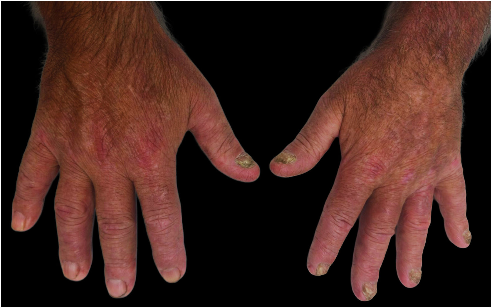 fig0005