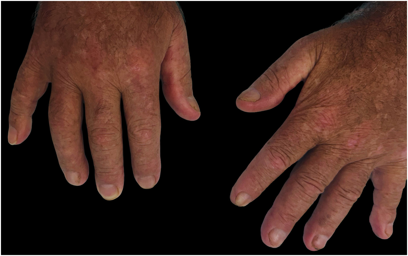 fig0020