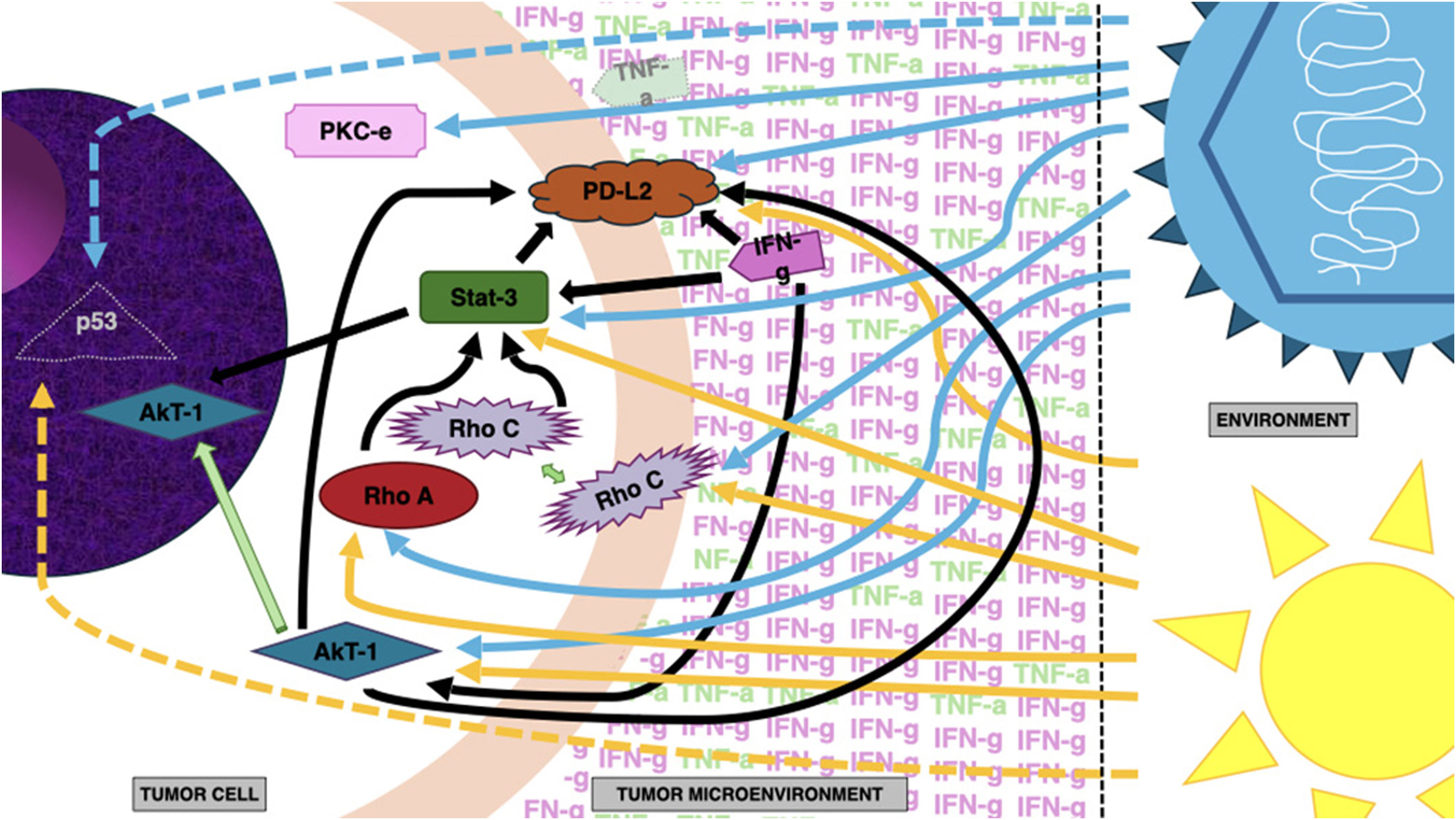 fig0020