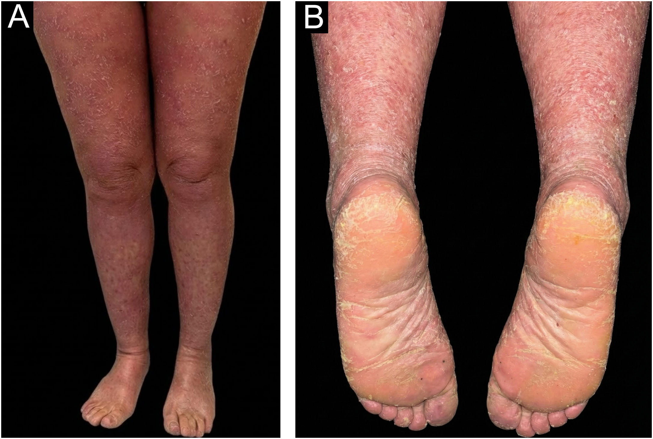 fig0005
