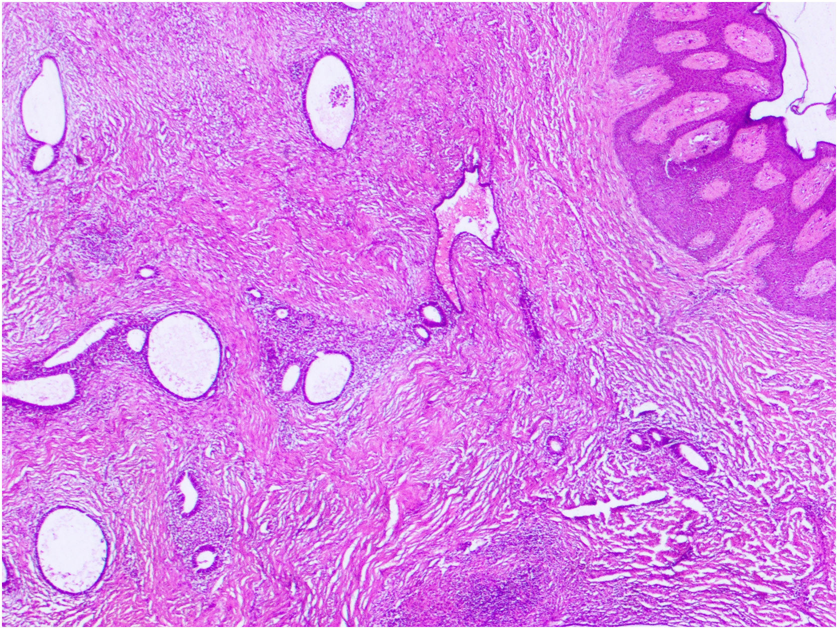 fig0015
