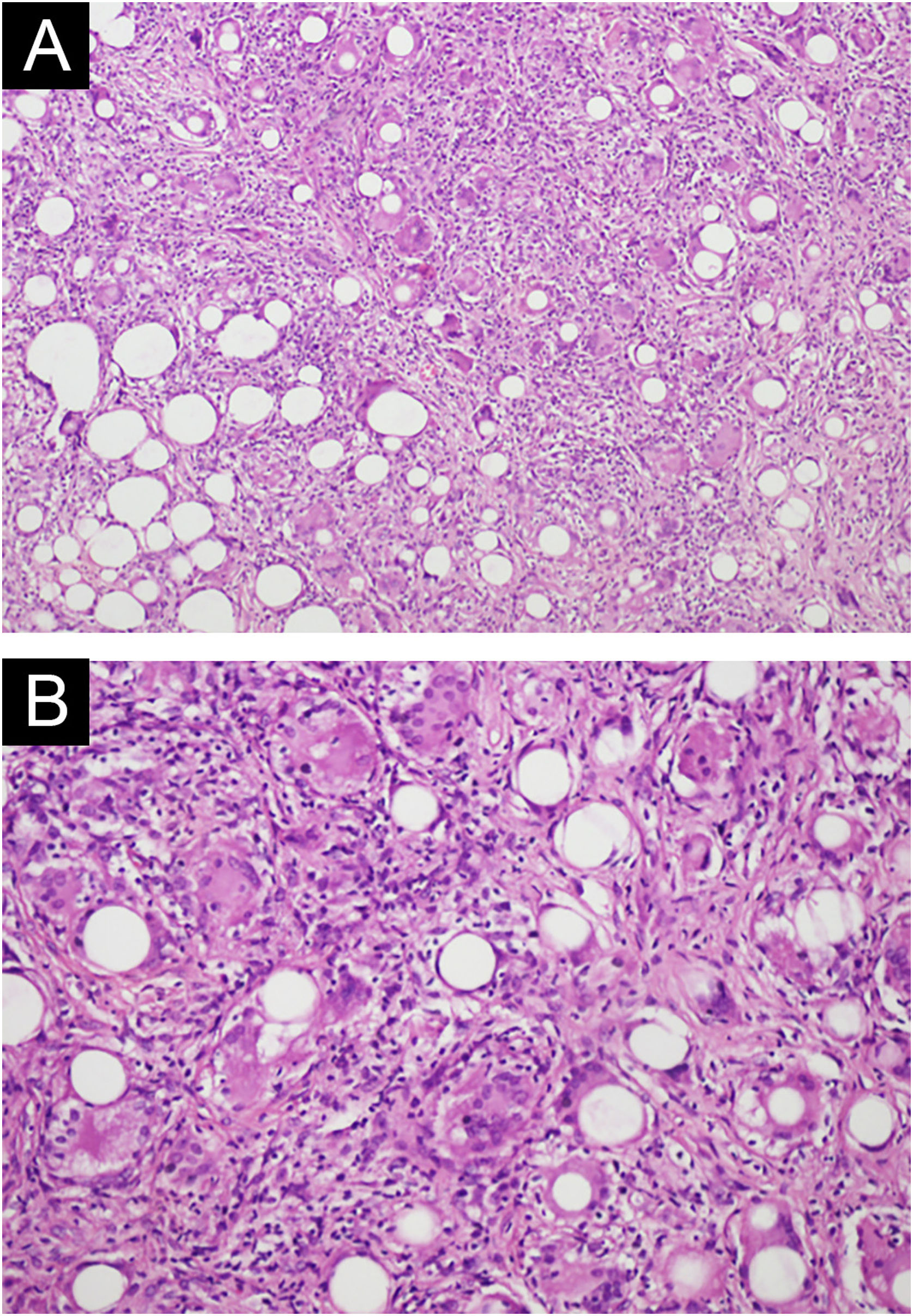 fig0010