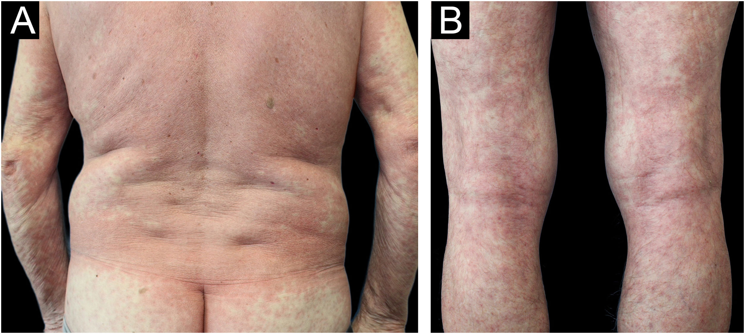 fig0020