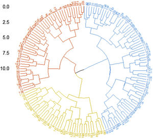 Unsupervised hierarchical analysis tree of DM patients. Hierarchical clustering analysis of 162 DM patients revealed three main clusters (cluster 1: yellow, cluster 2: blue, cluster 3: red). The euclidean distance and ward agglomeration methods were used to generate the dendrogram.