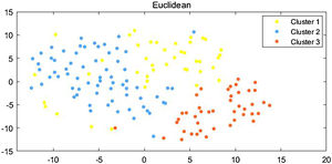 Visualized subgroups of 162 DM patients by tsne algorithm. Scatter plot map showing the individuals and clusters they belonged to in DM. tsne algorithm was used to reduce the dimensionality of the data.