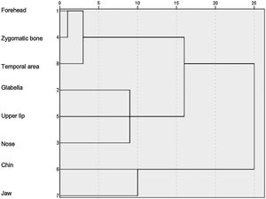 Cluster analysis of regions with melasma.