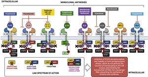 Main cytokines involved in the pathogenesis of atopic dermatitis, intracellular signaling of the JAK-STAT system, biologicals and small molecules used in the treatment of atopic dermatitis.