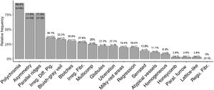 Prevalence of dermoscopic findings.