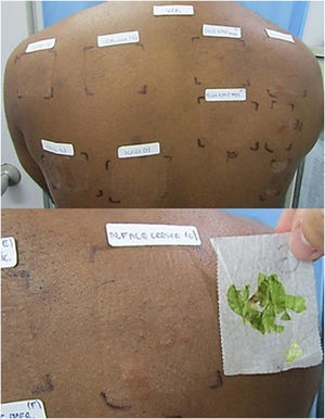 Positive result for green leaf lettuce leaf and stem in the first reading after 48 hours.