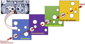 Model of the conjunction of risk factors for the occurrence of a DRESS event, in a model similar to the perfect meeting of risk factors, such as a hole in the same position in different slices of Swiss cheese, or in analogy to the meeting of perfect lenses, during refraction in an ophthalmological examination. The drug, or vaccine, needs to find a metabolic system in humans that generates a certain metabolic intermediate, which generally accumulates in excess, in the same patient, where this metabolite stimulates the proliferation of the monocytic-macrophage system, which leads to the activation of latent viruses incorporated into the host DNA. This human host must have certain genetic characteristics (HLA or cytochrome P450-CYP gain- or loss-of-function mutations), which lead to a specific type of immune response capable of generating the clinical response of DRESS.