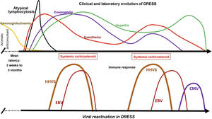 Clinical and laboratory evolution of DRESS. Sequential reactivation of the Herpesviridae family, after progressive hypogammaglobulinemia, previously classically demonstrated in patients using aromatic anticonvulsants, contributing to the resurgence of clinical and laboratory manifestations, even after withdrawal of the drug that triggered DRESS.