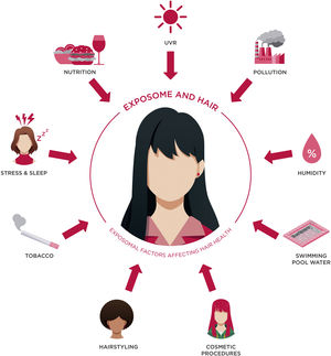 A summary image of the exposomal factors that can impact hair health.