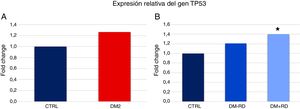 Expresión relativa del gen TP53 en los participantes del estudio. A)Comparación entre el grupo de diabéticos tipo2 (DM2) y el grupo control (CTRL). B)Comparación entre el grupo de diabéticos tipo2 sin retinopatía diabética (DM2−RD), el grupo de diabéticos tipo2 con retinopatía diabética (DM2+RD) y el grupo control (CTRL). El asterisco denota diferencias estadísticamente significativas respecto al grupo control (p<0,05).