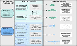 Diagrama de flujo del diagnóstico genético de la aniridia propuesto de diagnóstico genético en aniridia. Se propone un algoritmo diagnóstico en función de la sospecha clínica y características del paciente (edad y antecedentes familiares). El objetivo principal es descartar mutaciones y/o deleciones que causen haploinsuficiencia de PAX6 en casos con sospecha de aniridia y con fenotipo clásico, además de un diagnóstico diferencial con otros genes, principalmente de disgenesia de segmento anterior, en casos de aniridia con presentaciones atípicas. Se prioriza el estudio de variaciones en el número de copia en el cromosoma 11p en casos esporádicos menores a 10 años y/o con presentación de síntomas extraoculares, característicos del síndrome de WAGR (tumor de Wilms, retraso del neurodesarrollo, anomalías genitourinarias), mediante distintas técnicas moleculares, o en su defecto citogenéticas. El cribado de mutaciones en PAX6 se priorizará en casos familiares o esporádicos mayores de 10 años por su mayor rendimiento. En este algoritmo incorporamos el uso de técnicas de NGS (paneles dirigidos a PAX6 y otros genes asociados a malformaciones oculares, exomas clínicos, exomas completos o genomas) para realizar ambos análisis, siempre teniendo en cuenta las limitaciones de sensibilidad de cada técnica en la valoración del test genético.