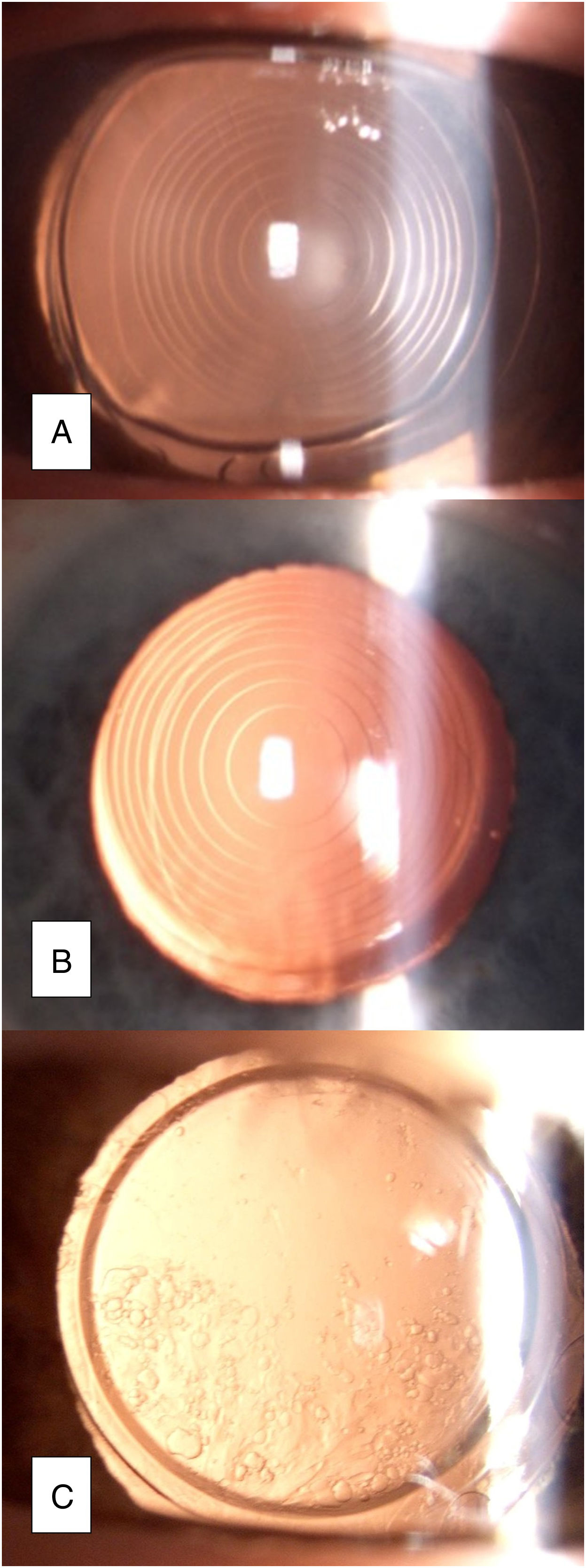 fig0005