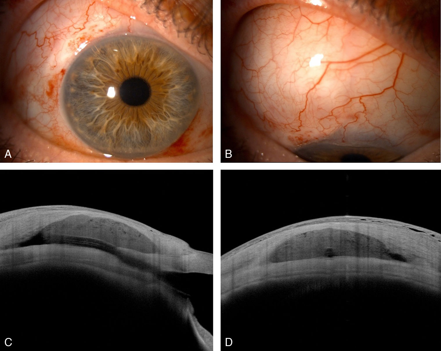 fig0010