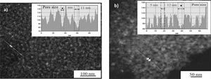 – TEM micrographs of films TiO2 -AcAc -F127 (a) and TiO2 -AcAc-F127 Ca-doped (b).