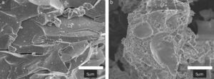 FEG –SEM Images of the solid solutions (a) ZF2M2 and (b) ZYF2M2.