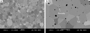 Microstructure of a sample sintered from Ta+2B mixture at 2200°C during 5min, heating rate of 100°C/min, mag. 1000× (a), 5000× (b).