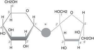 Fórmula del disacárido sacarosa (azúcar común).
