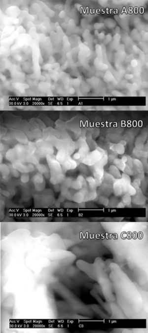 Microfotografías de las muestras A800, B800 y C800, tratadas térmicamente a 800°C por 2h.