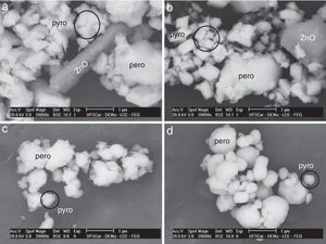 Backscattered SEM micrograph of 0.9PZN-0.1PT powders calcined at 1000°C for 4h in: (a) oxygen, (b) air, (c) argon and (d) nitrogen. The following phases were identified by EDS: perovskite (pero), pyrochlore (pyro) and ZnO.