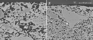 FEG-ESEM micrographs of pressed and extruded membranes with high clay content (magnification: 1500×). Pores present a dark color in the micrographs.