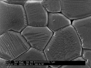 SEM images showing grains boundaries of γ-Al2O3 samples sintered at 1700°C with 5°C/min heating rate.