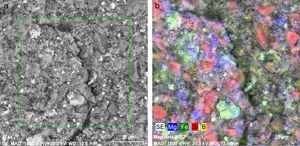 SEM images and EDX map analyses of the investigates pigments sintered at 1100°C.