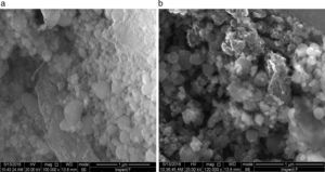 SEM images after cycling for modified anode (a) and fresh anode (b).