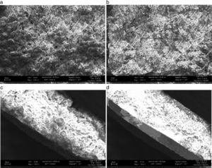 SEM images of deposited anode under different N2 conditions. (a) and (c) are top view and cross section of samples treated at 1.7×1018 molecules cm-2s-1 N2 flux, respectively, (b) and (d) are top view and cross section of samples treated at 4.3×1018 molecules cm-2s-1 N2 flux.