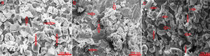 SEM images of fractured surfaces of the samples with various Cr2O3 nanoparticles additions: (a) MC, (b) MCCr1.5 and (c) MCCr3 samples (A=CaO, B=MgO, C=CaCr2O4 and D=MgCr2O4phases).
